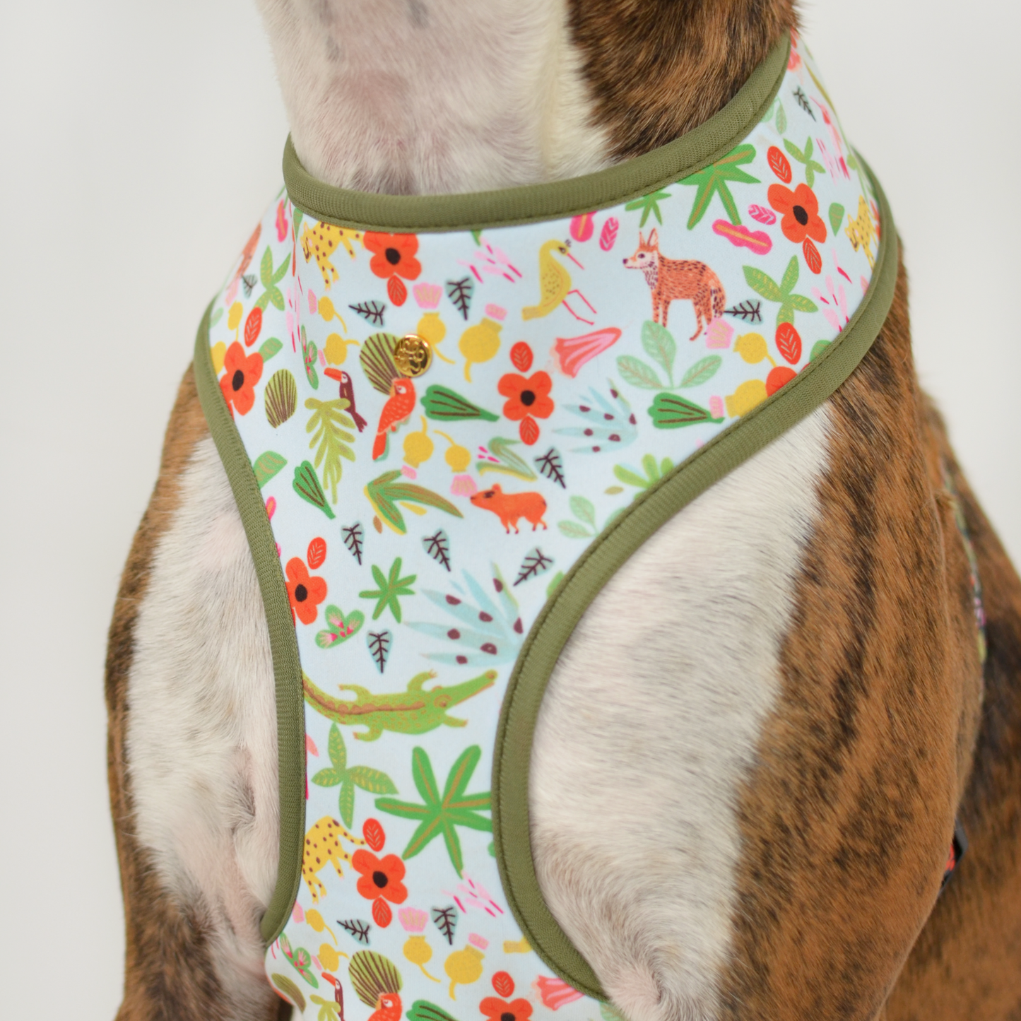 selva x holalola reversible harness