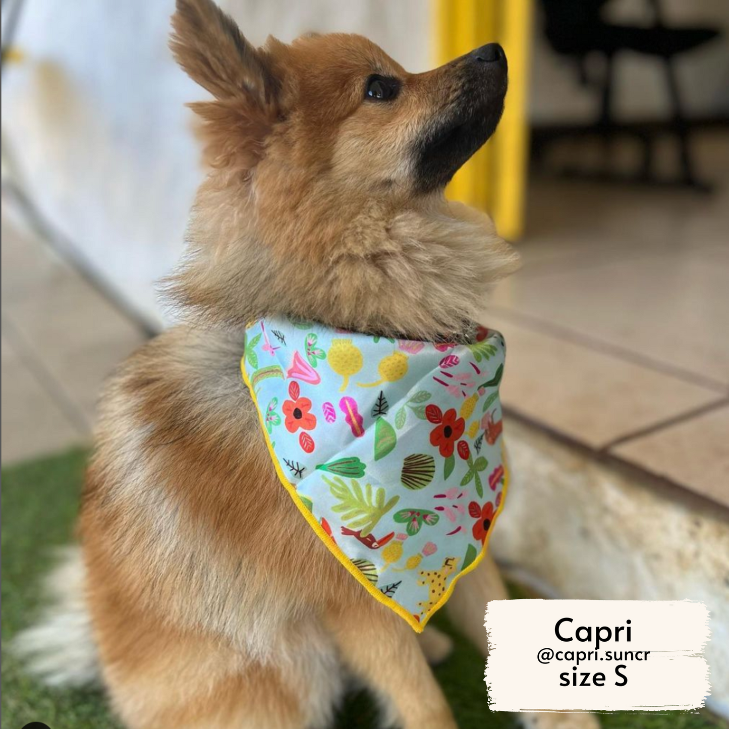 selva x holalola bandana