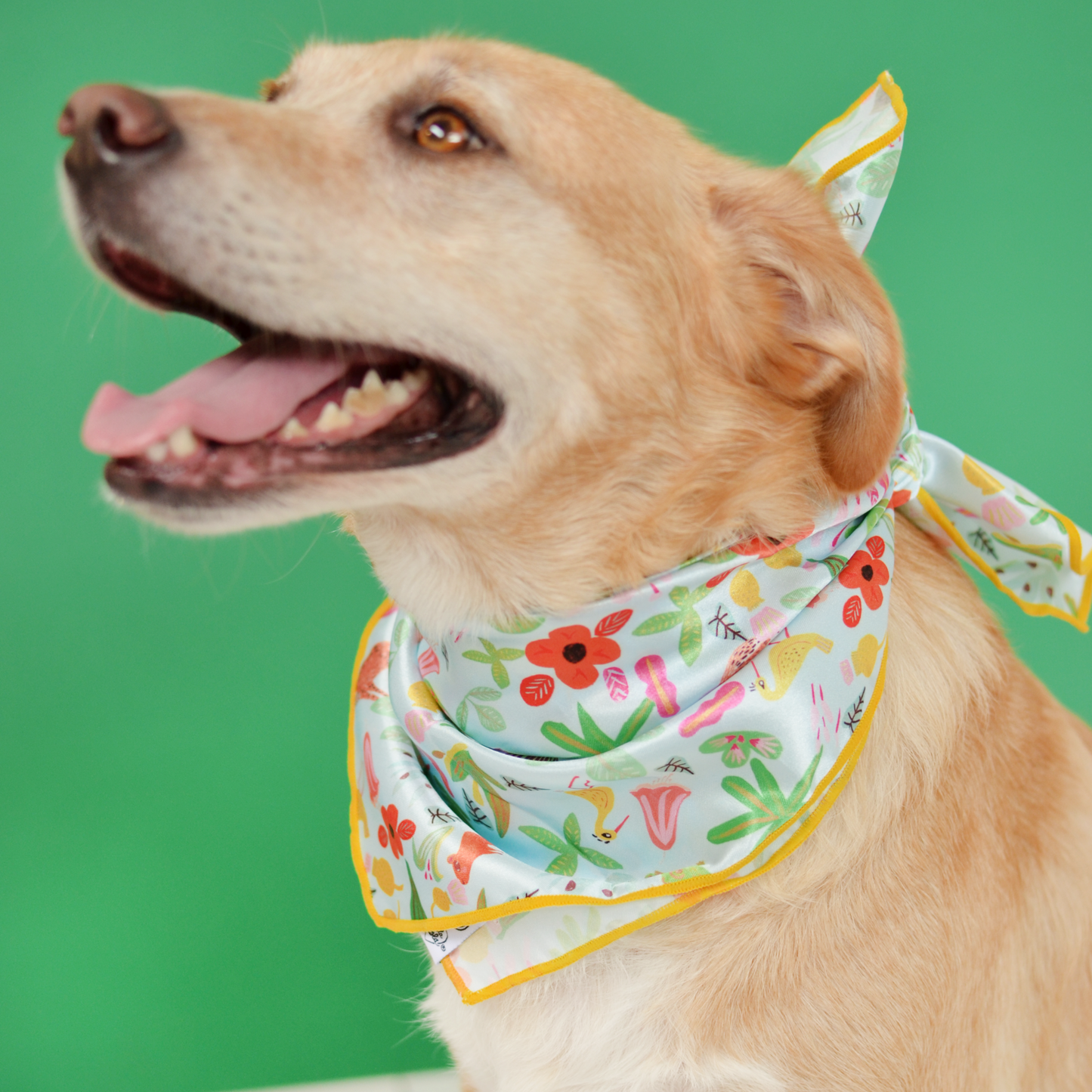 selva x holalola bandana