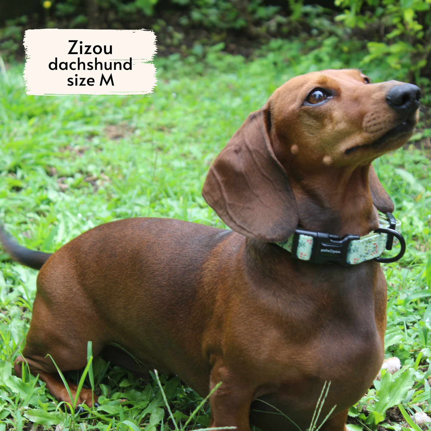 Halsband Wildblumen der Alpen