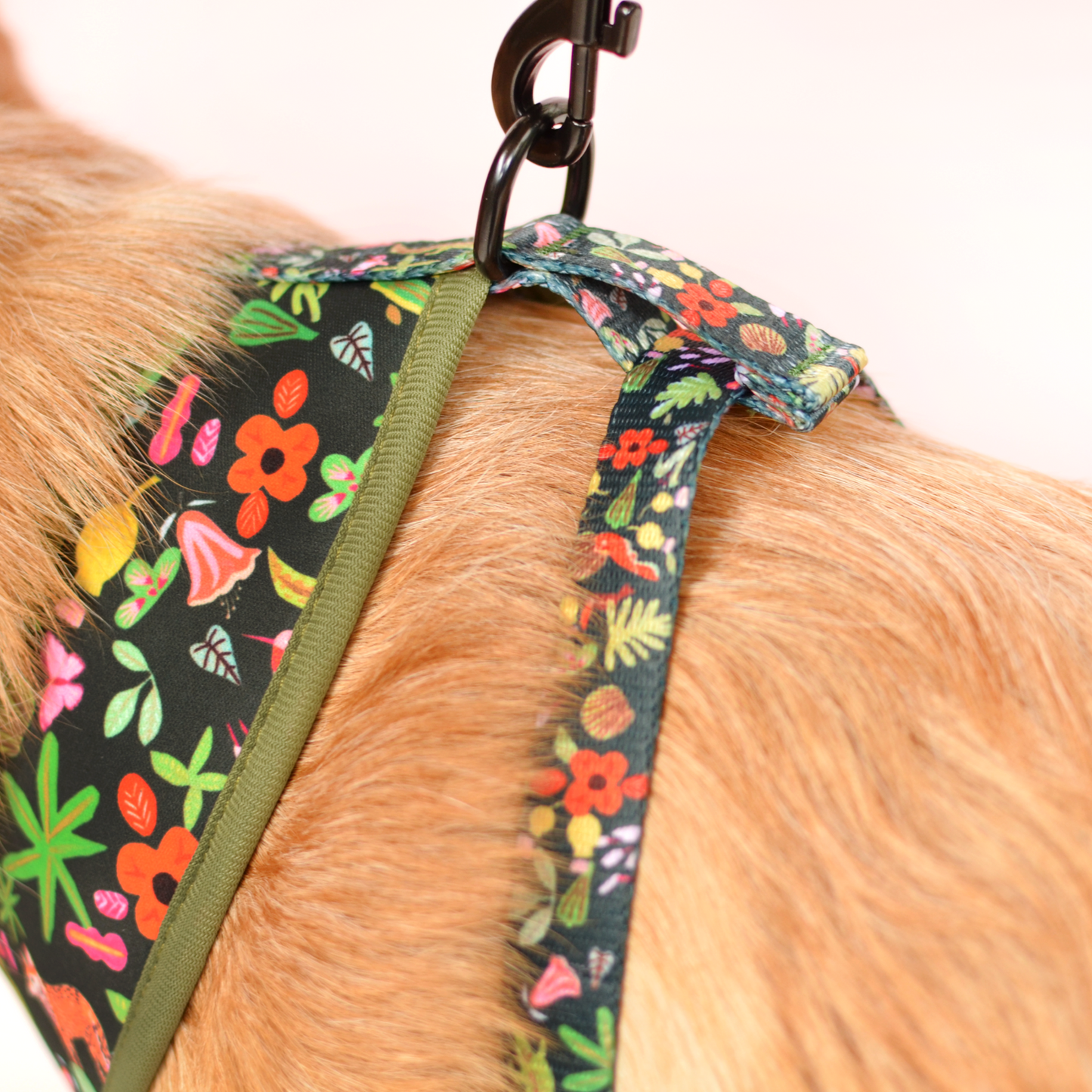 selva x holalola leash