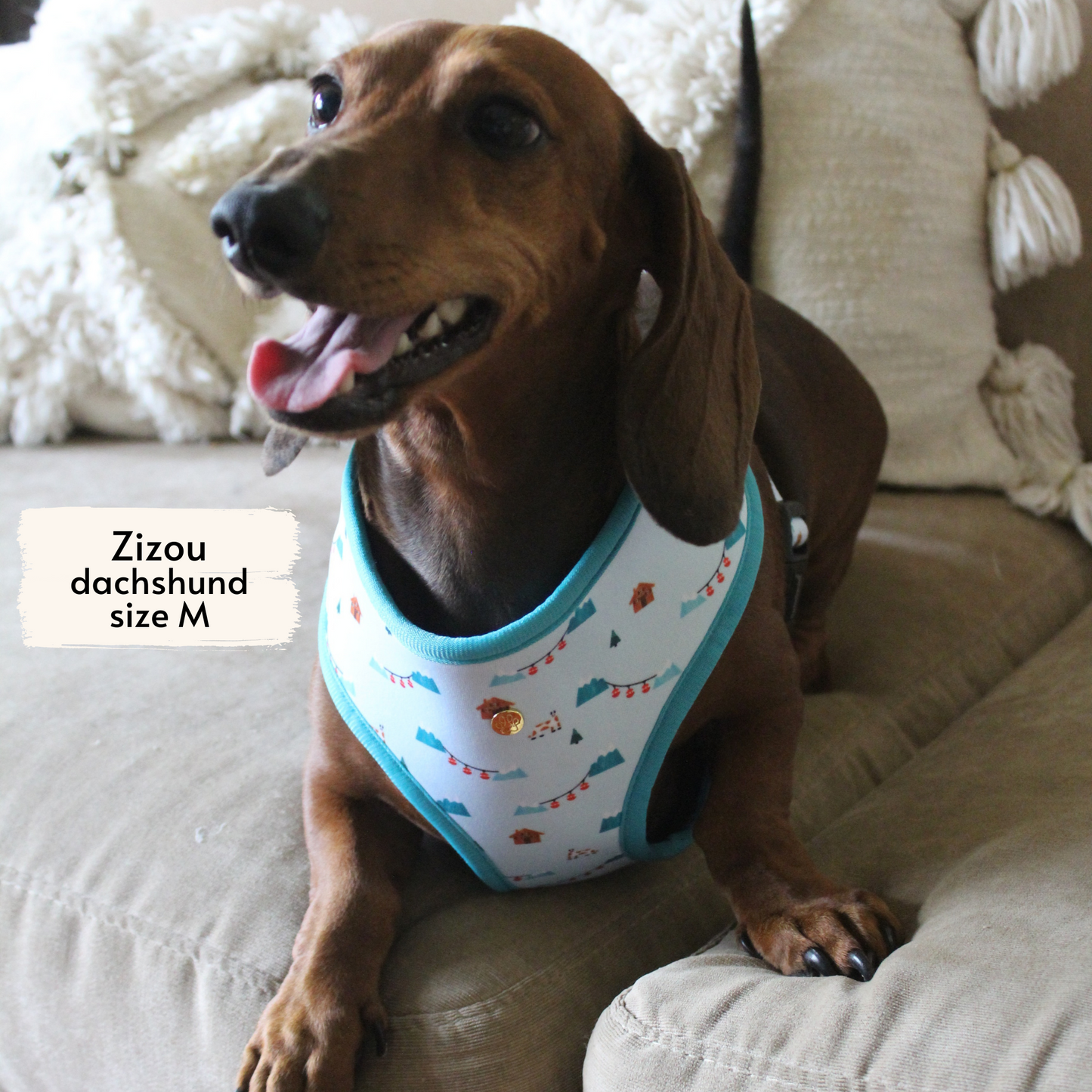 arnes/pechera reversible les alpes