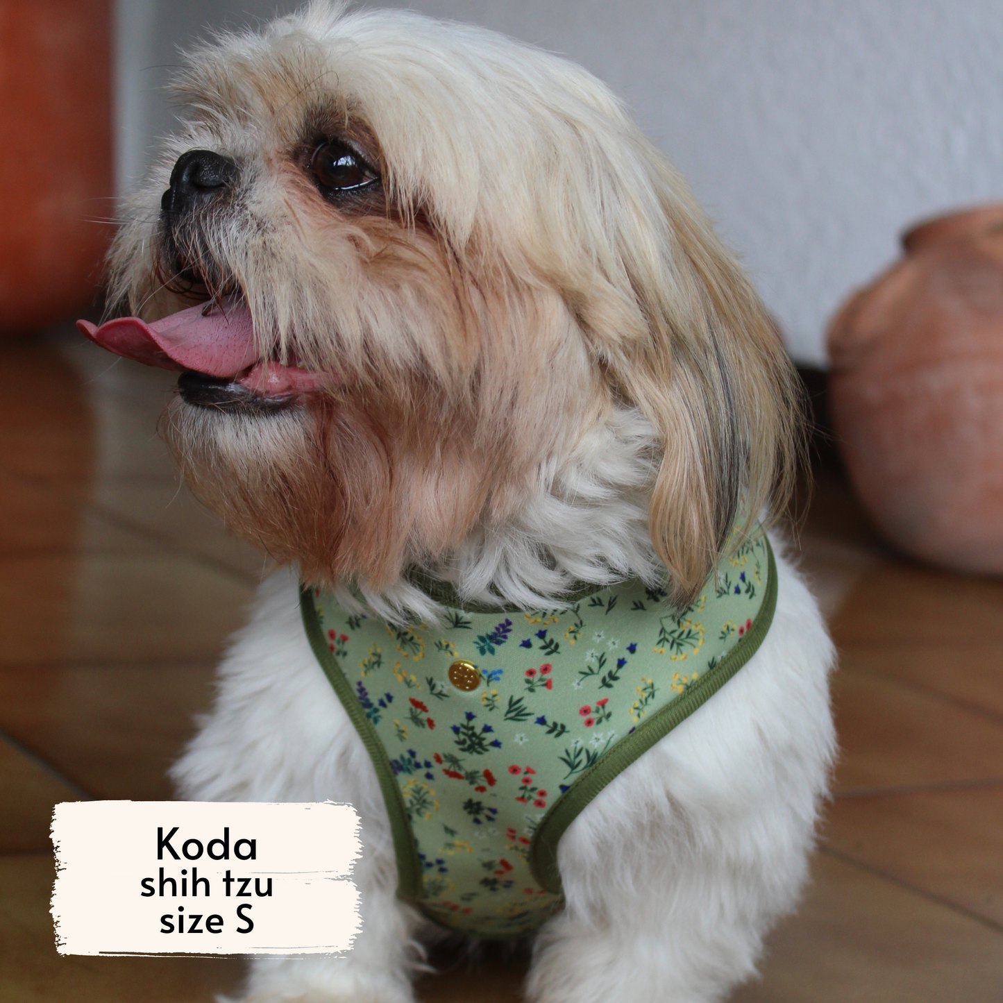 Pata Paw alpine wildflowers harness as seen on a small dog, Koda, a shih tzu.