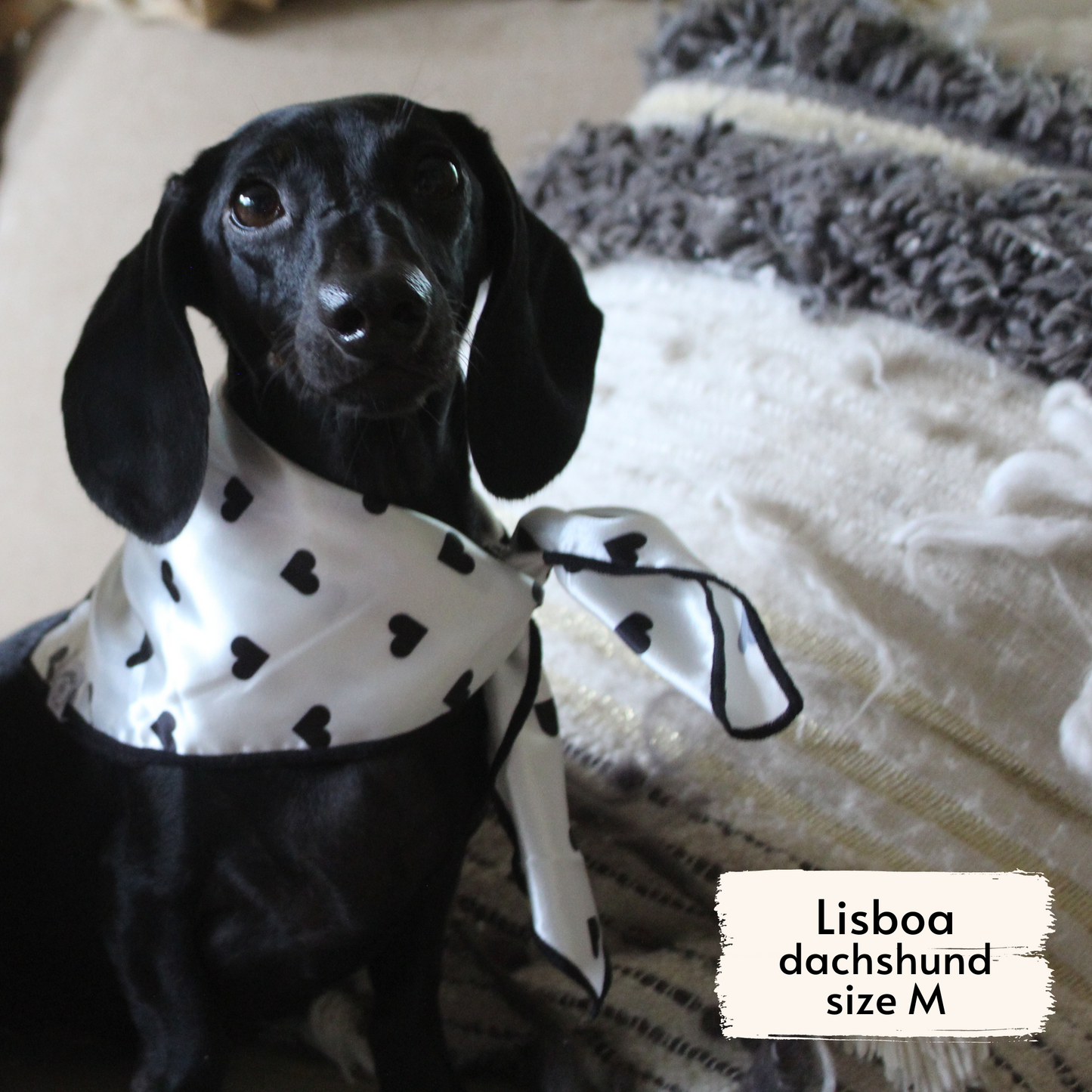 classic hearts bandana