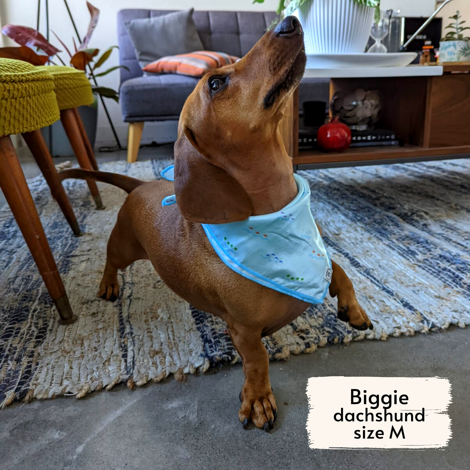 Products costa rican sea life bandana as seen on Biggie, size M