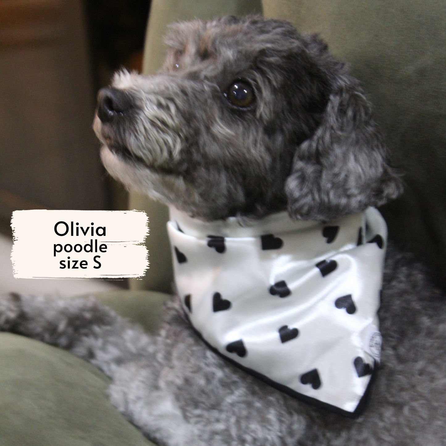 classic hearts bandana