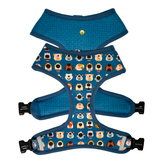 Pata Paw boops reversible harness showing both sides.