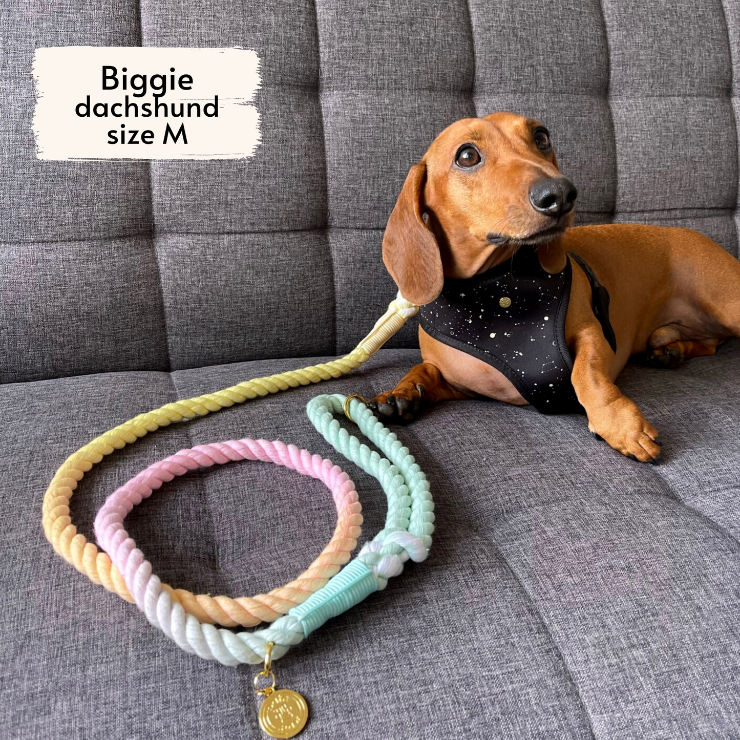 pastel shades rope leash