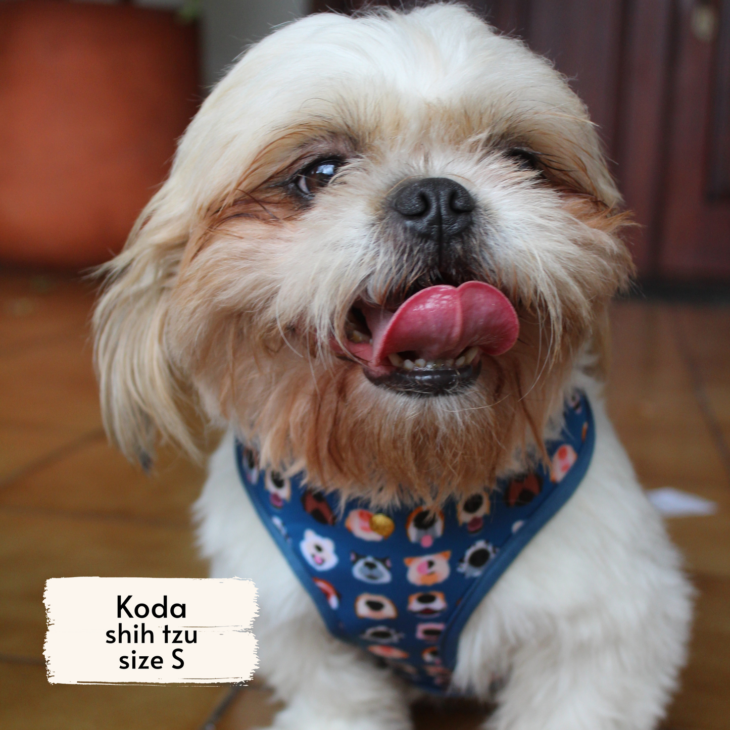 boops reversible harness