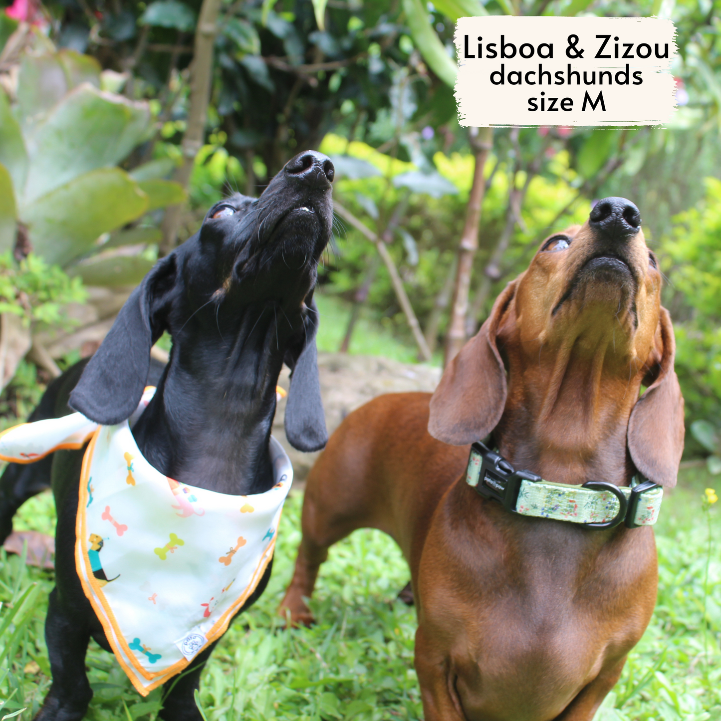 Halsband Wildblumen der Alpen