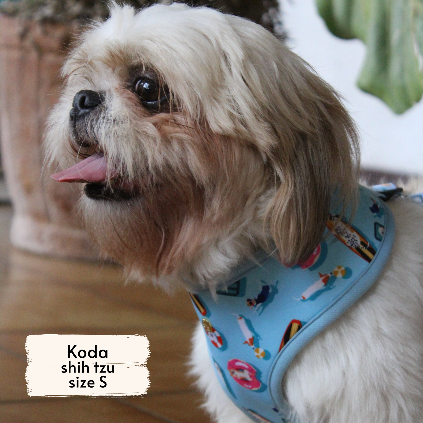 pool pups reversible harness