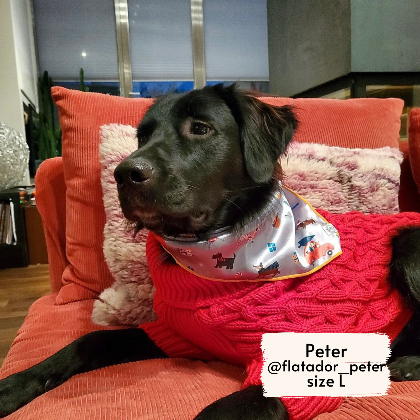 merry woofmas bandana