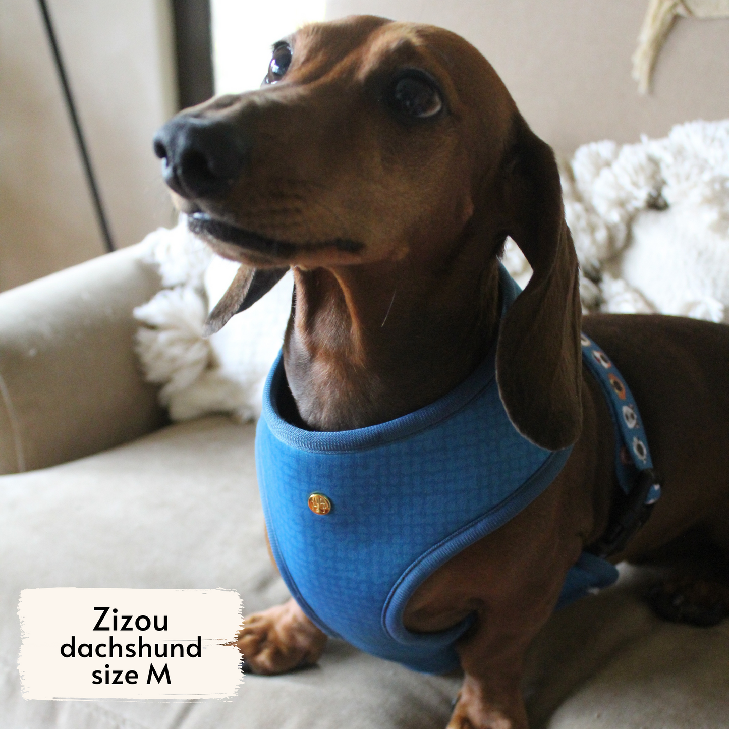 boops reversible harness