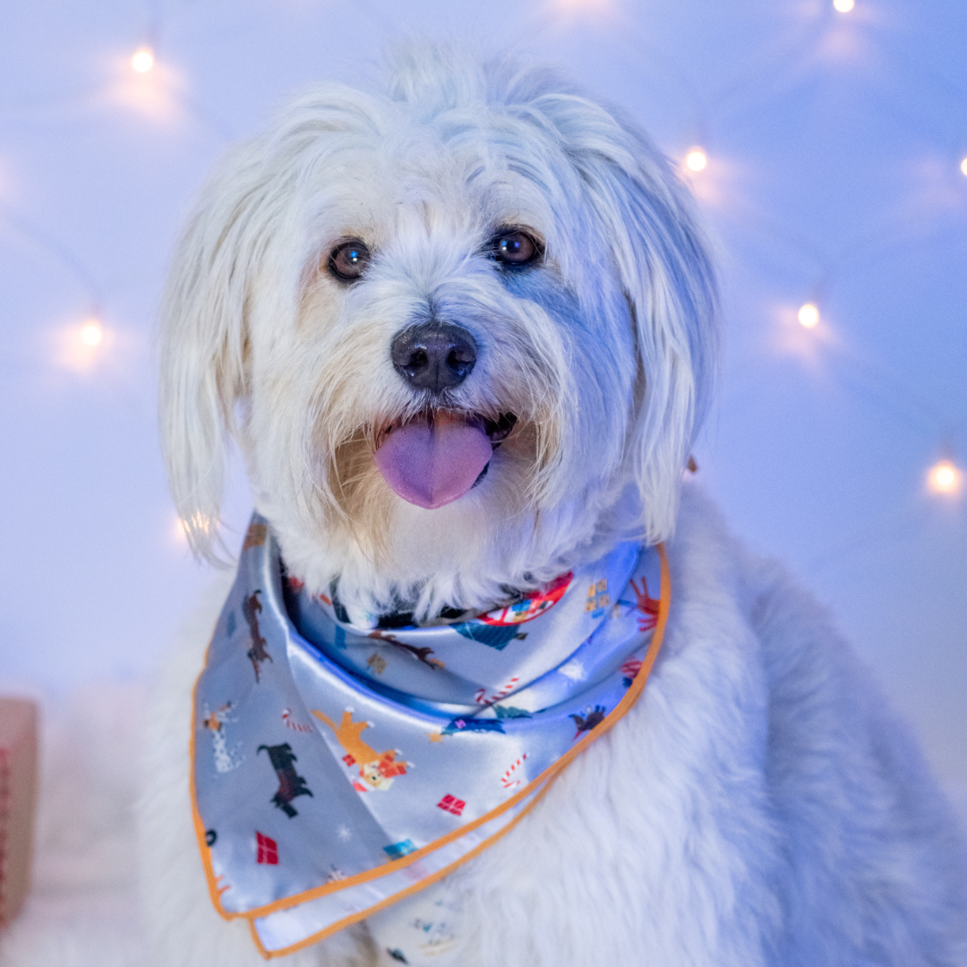 merry woofmas bandana