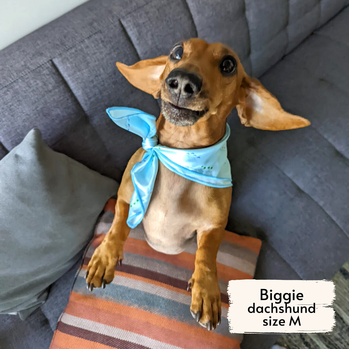 Products costa rican sea life bandana as seen on Biggie, size M