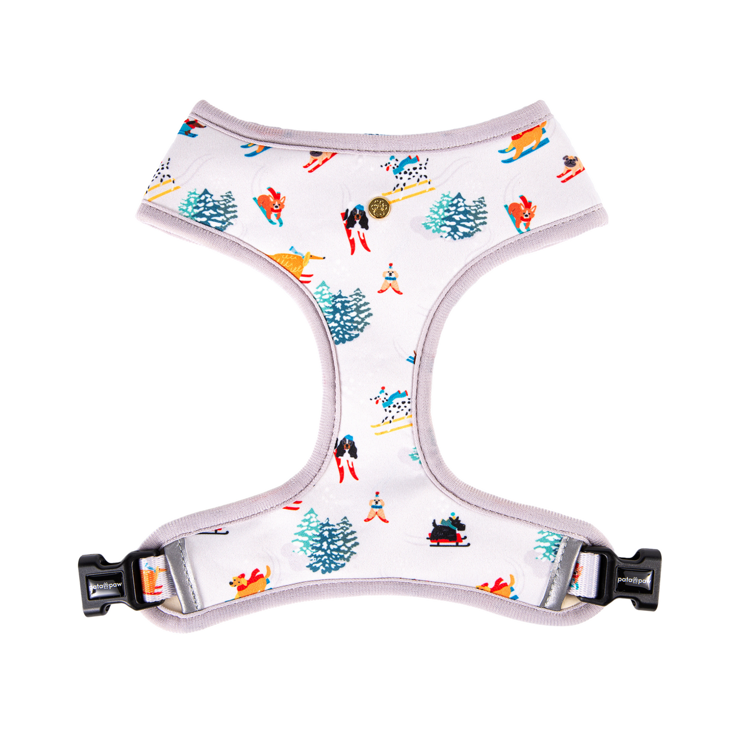 pata paw ski wonderland one side