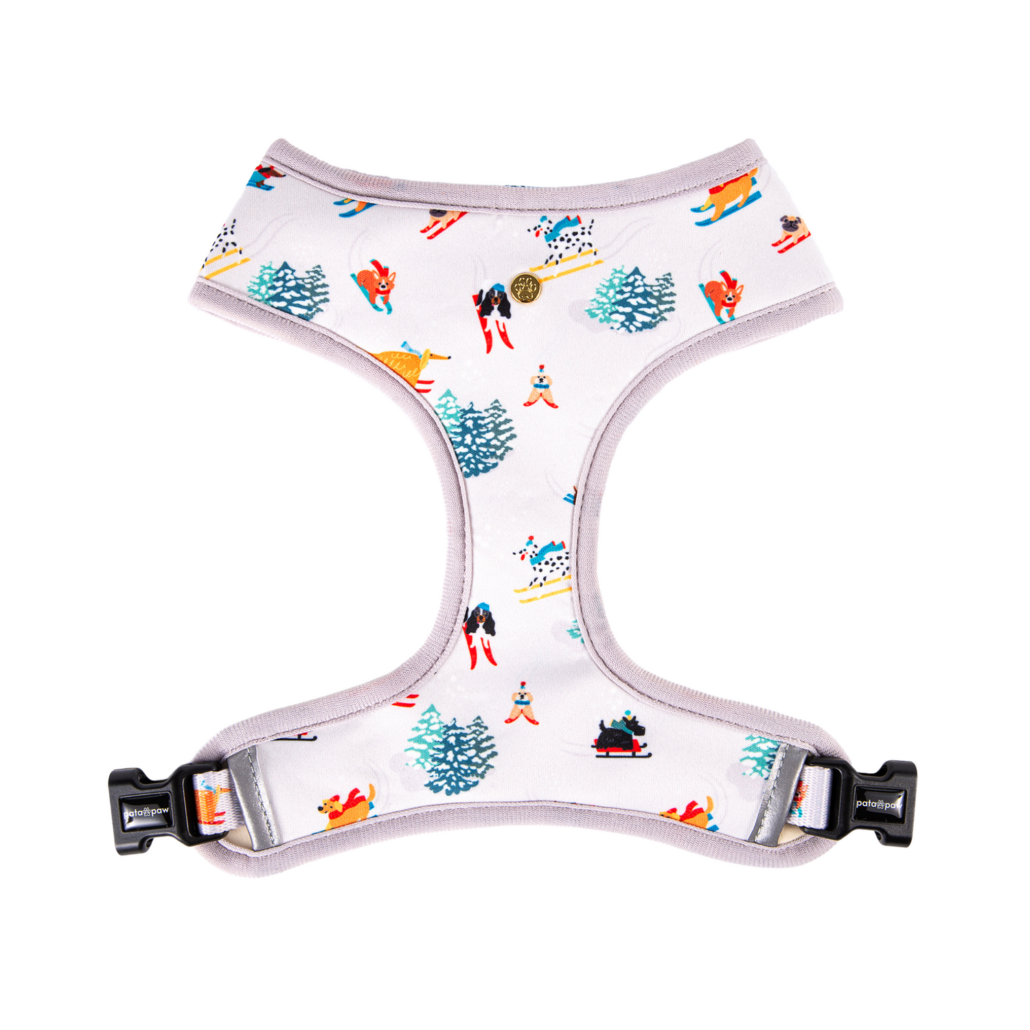 pata paw ski wonderland one side