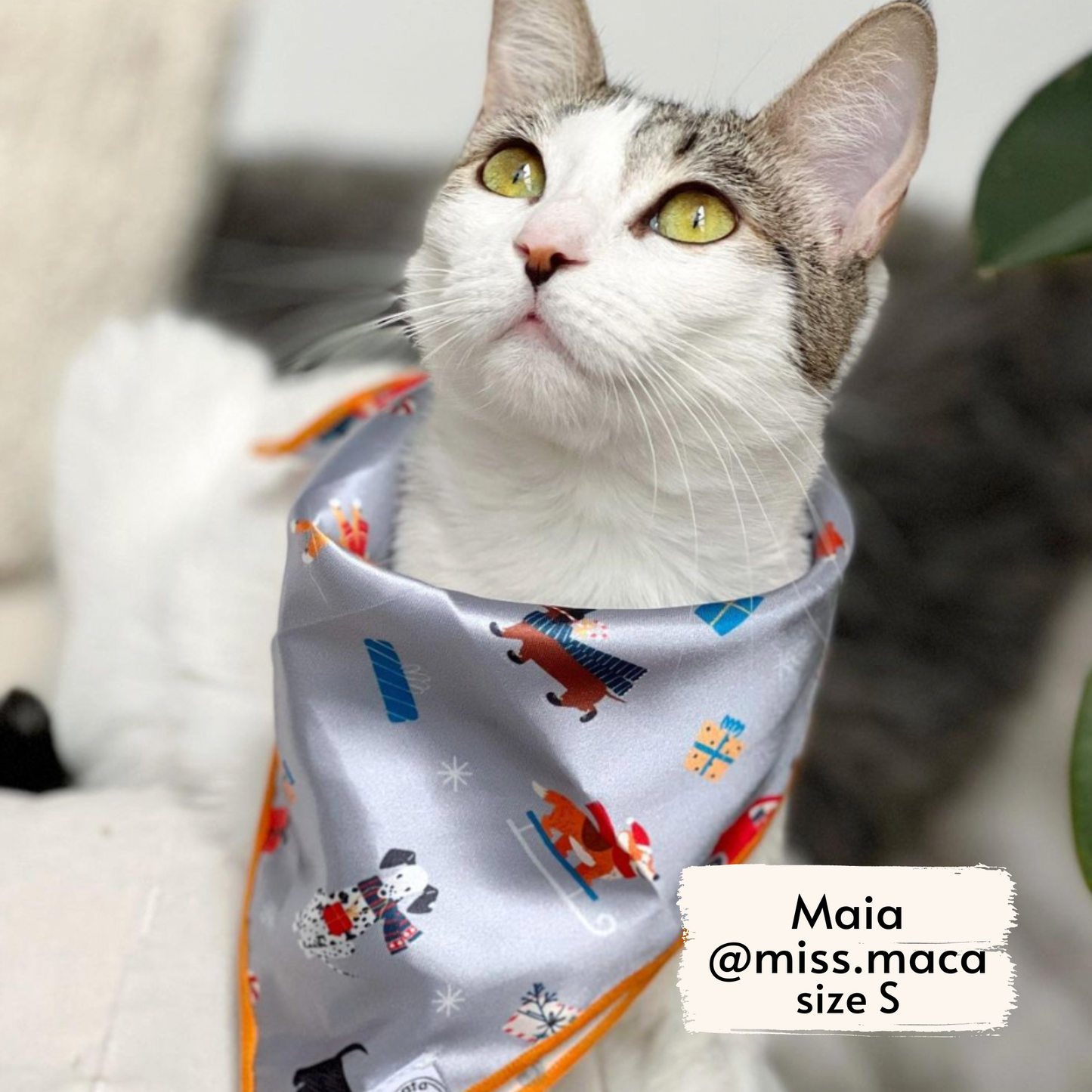 merry woofmas bandana