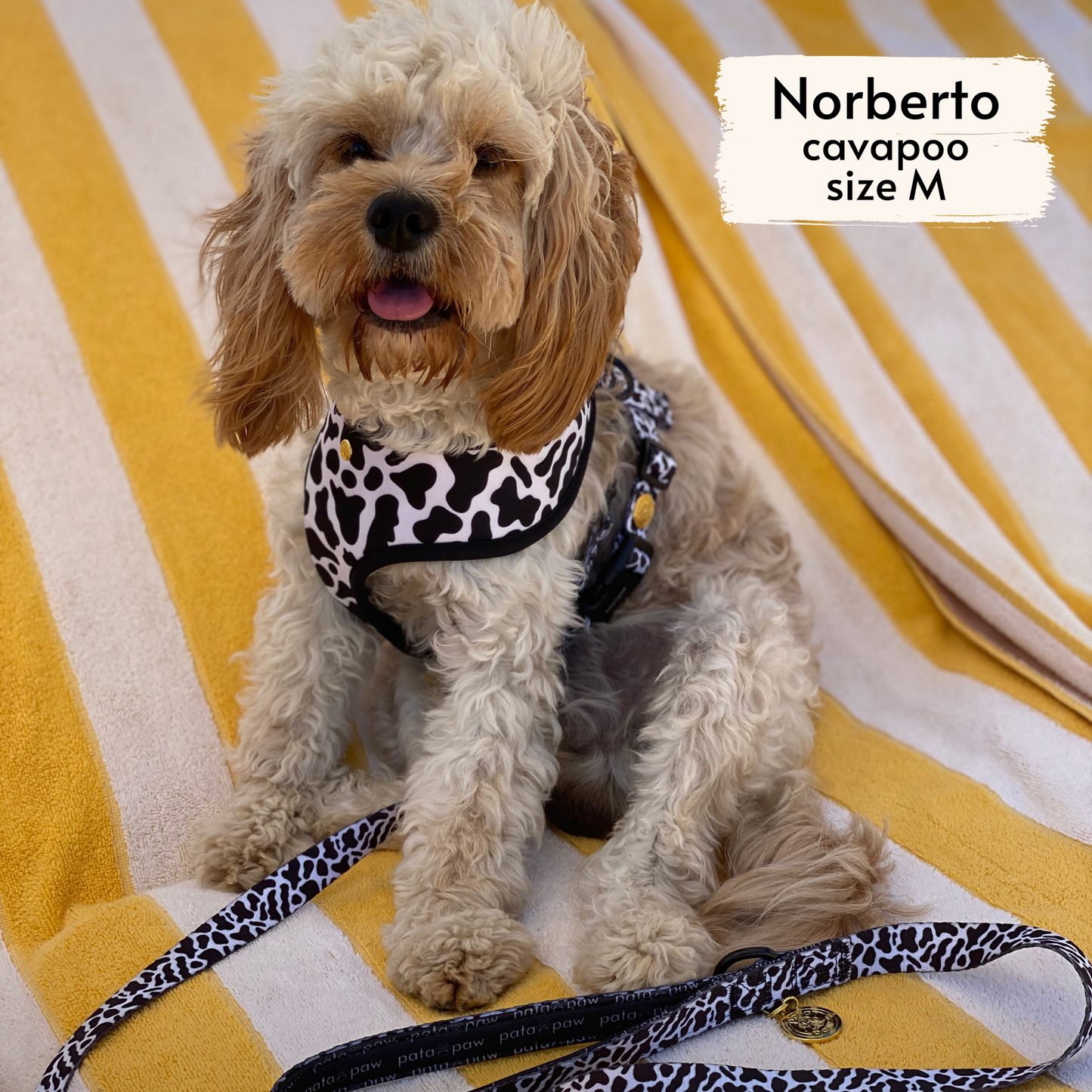 moo reversible harness