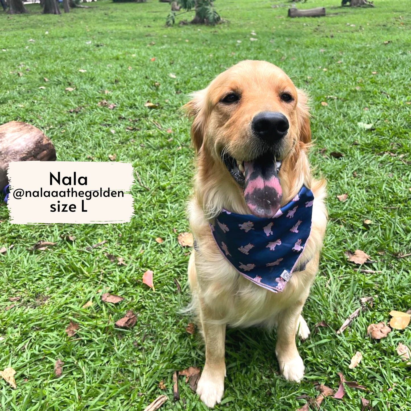 hero unicorn bandana