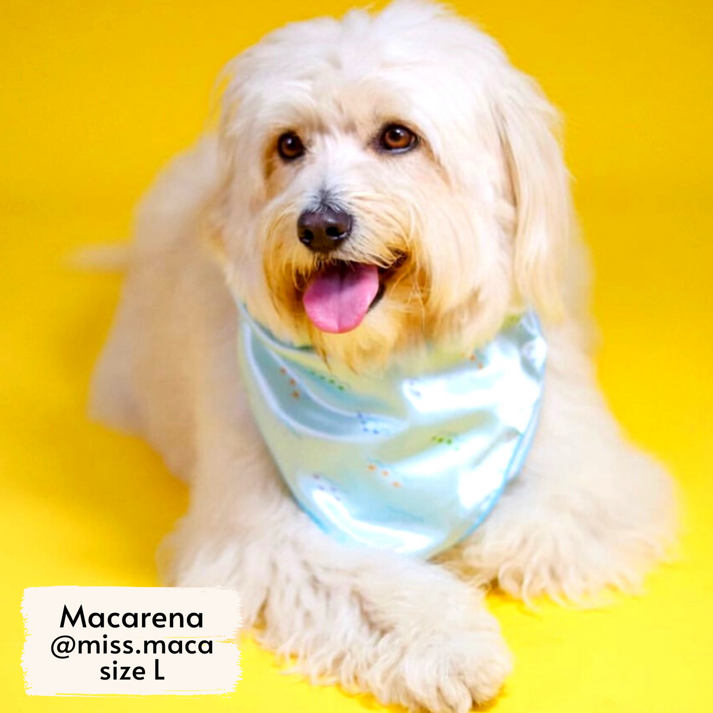 costa rican sea life bandana