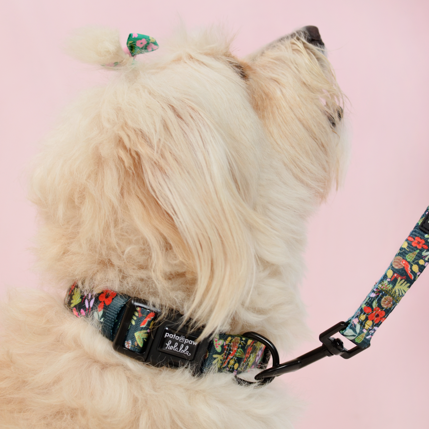 selva x holalola collar