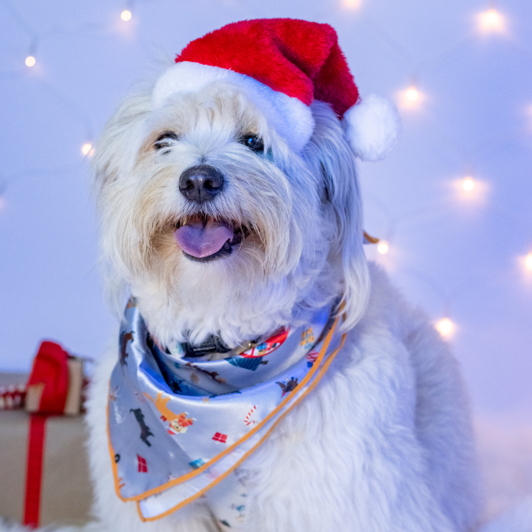 merry woofmas bandana