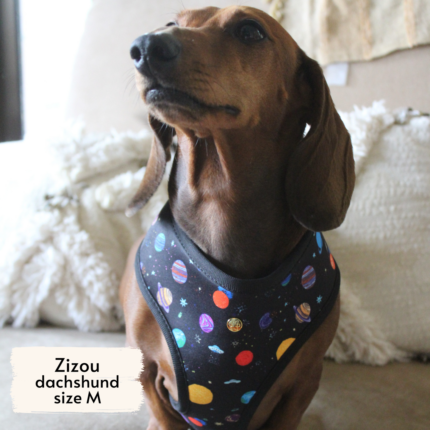 space explorer reversible harness