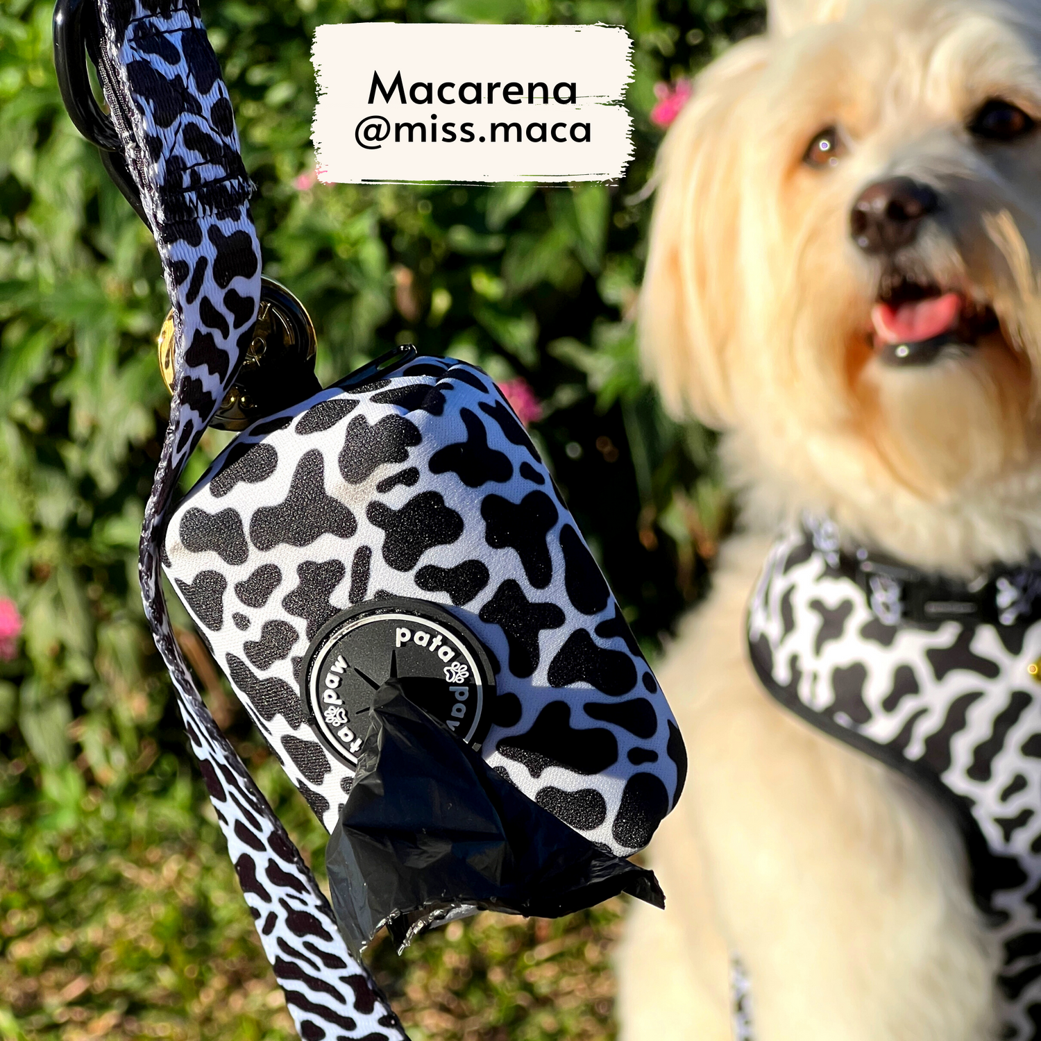 Pata Paw moo poop bag holder and leash as seen on @miss.maca