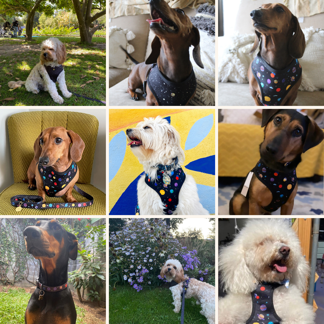 space explorer walking set