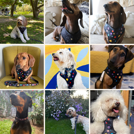 space explorer walking set