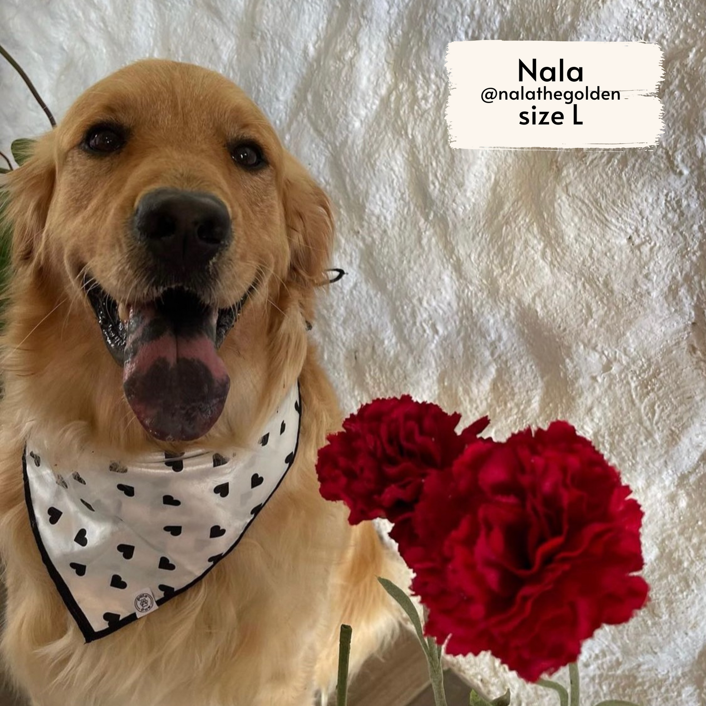 classic hearts bandana