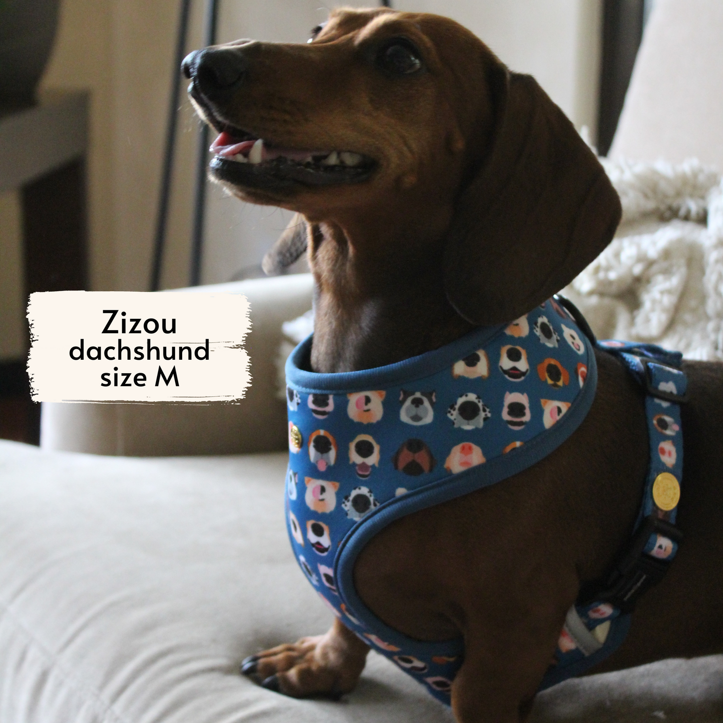 boops reversible harness