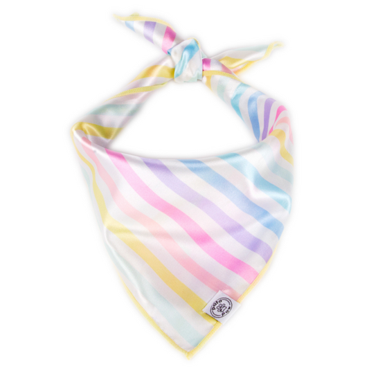 Pata Paw stripes bandana