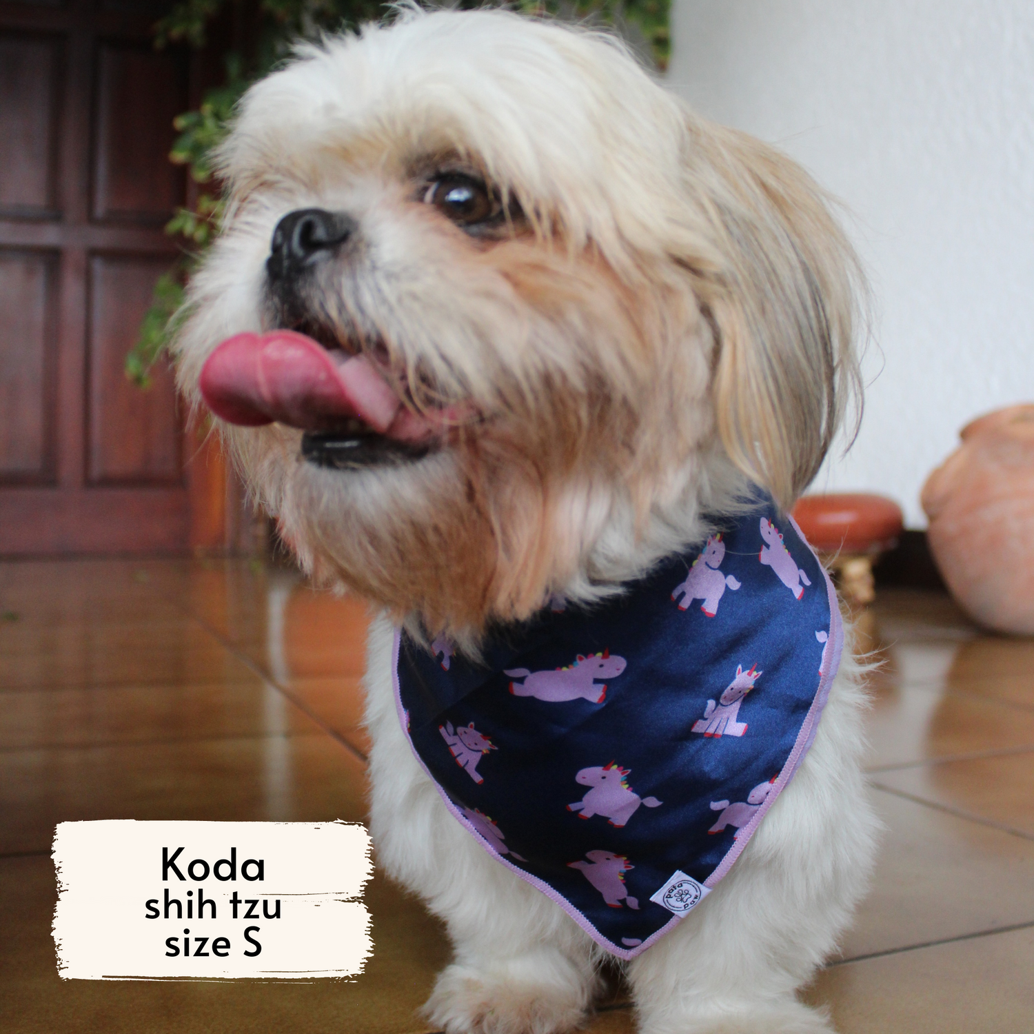 Pata Paw hero unicorn bandana as seen on a small dog, Koda, a shih tzu.