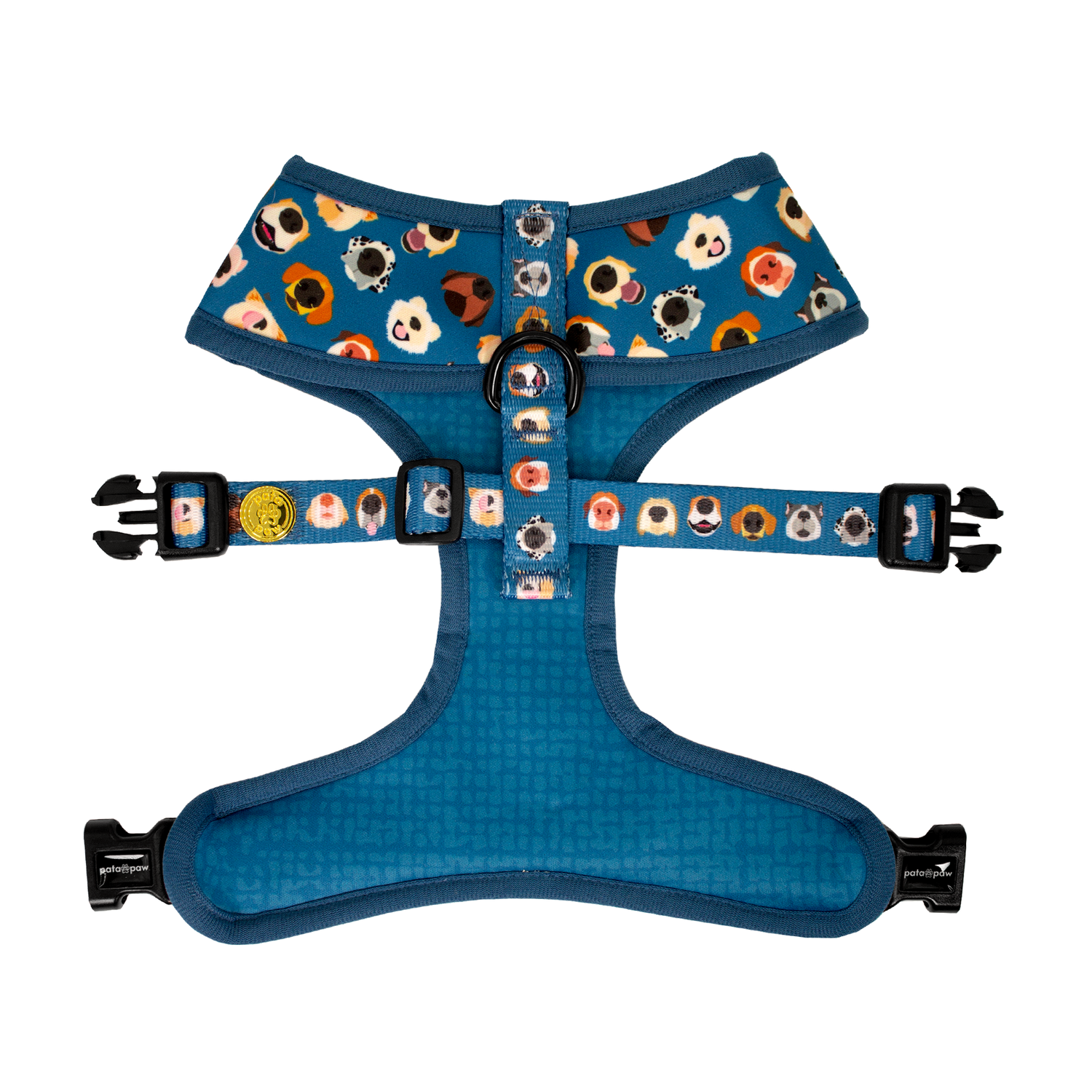 Pata Paw boops reversible harness showing its backside.