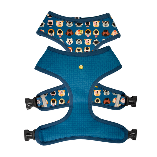Pata Paw boops reversible harness showing both sides.