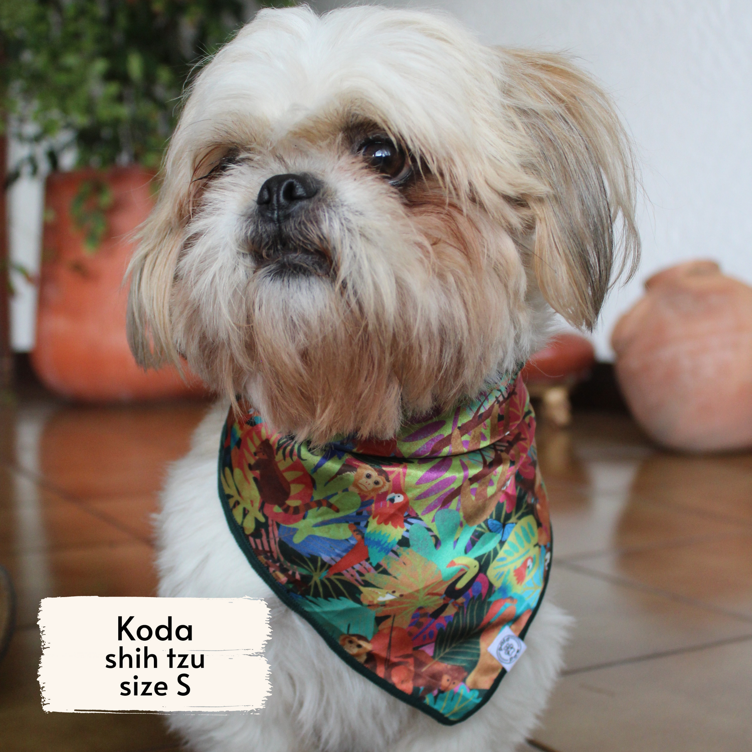 Pata Paw Costa Rican rainforest bandana as seen on a small dog, Koda, a shih tzu.