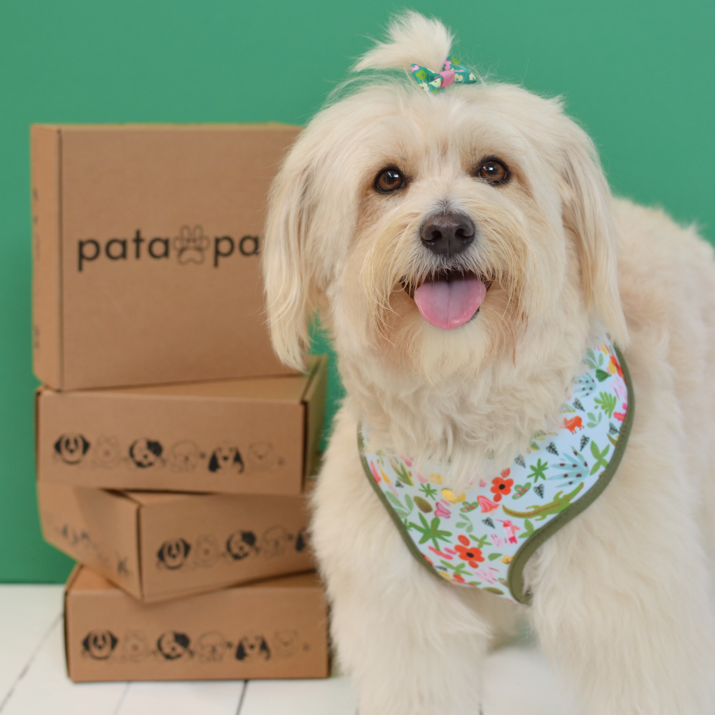 selva x holalola reversible harness