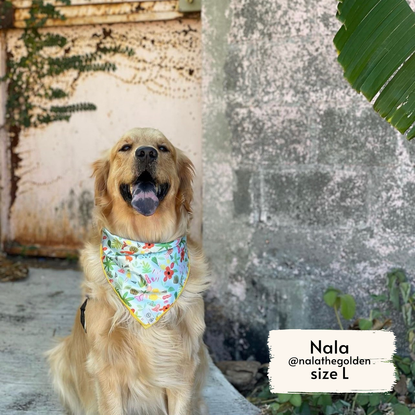 selva x holalola bandana