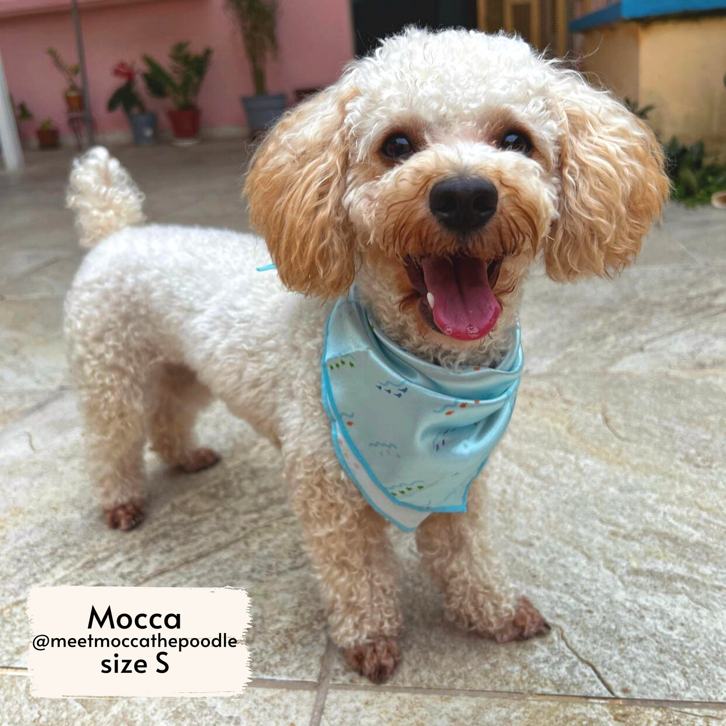 costa rican sea life bandana