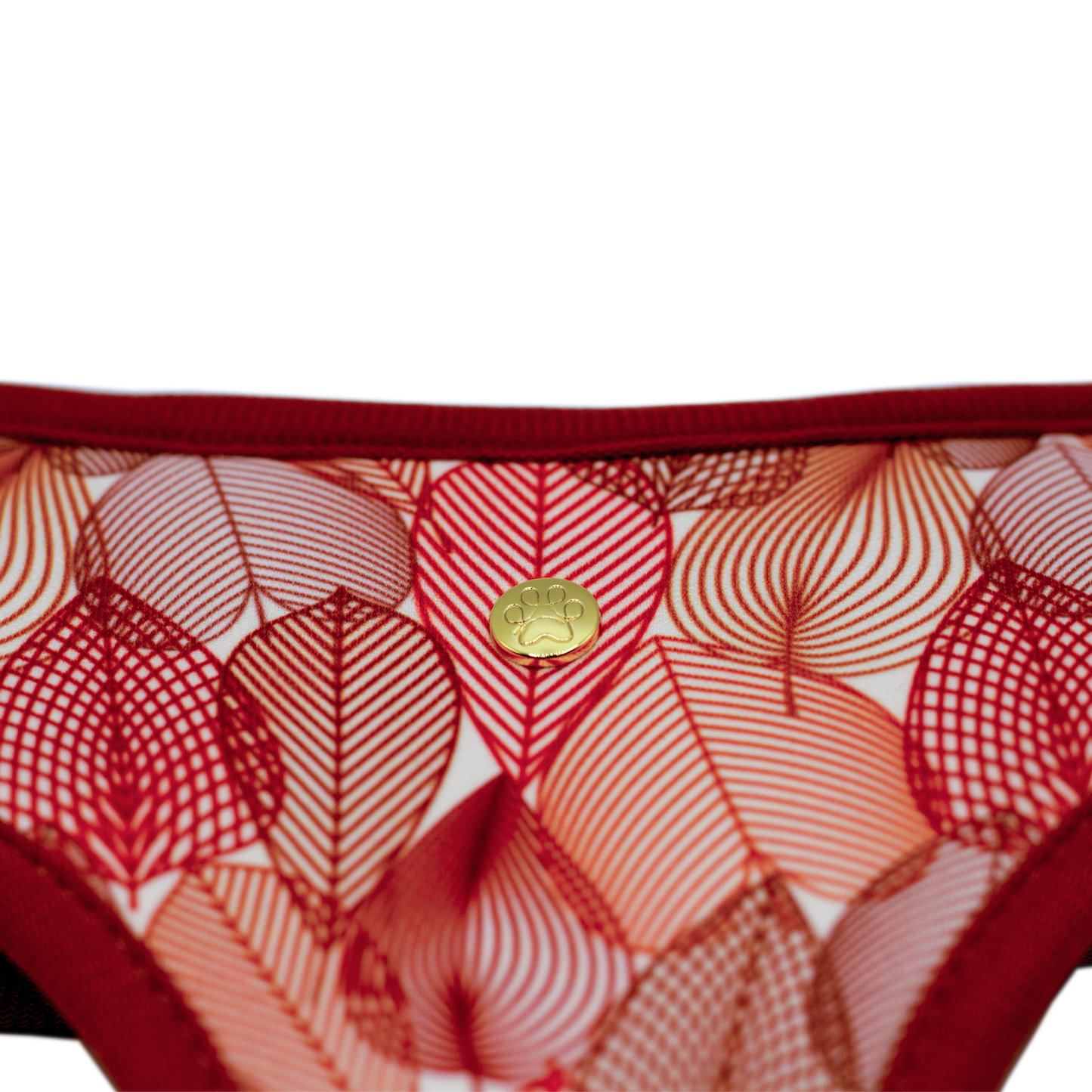 Pata Paw  autumn crunch reversible harness showing a close-up of its golden paw.