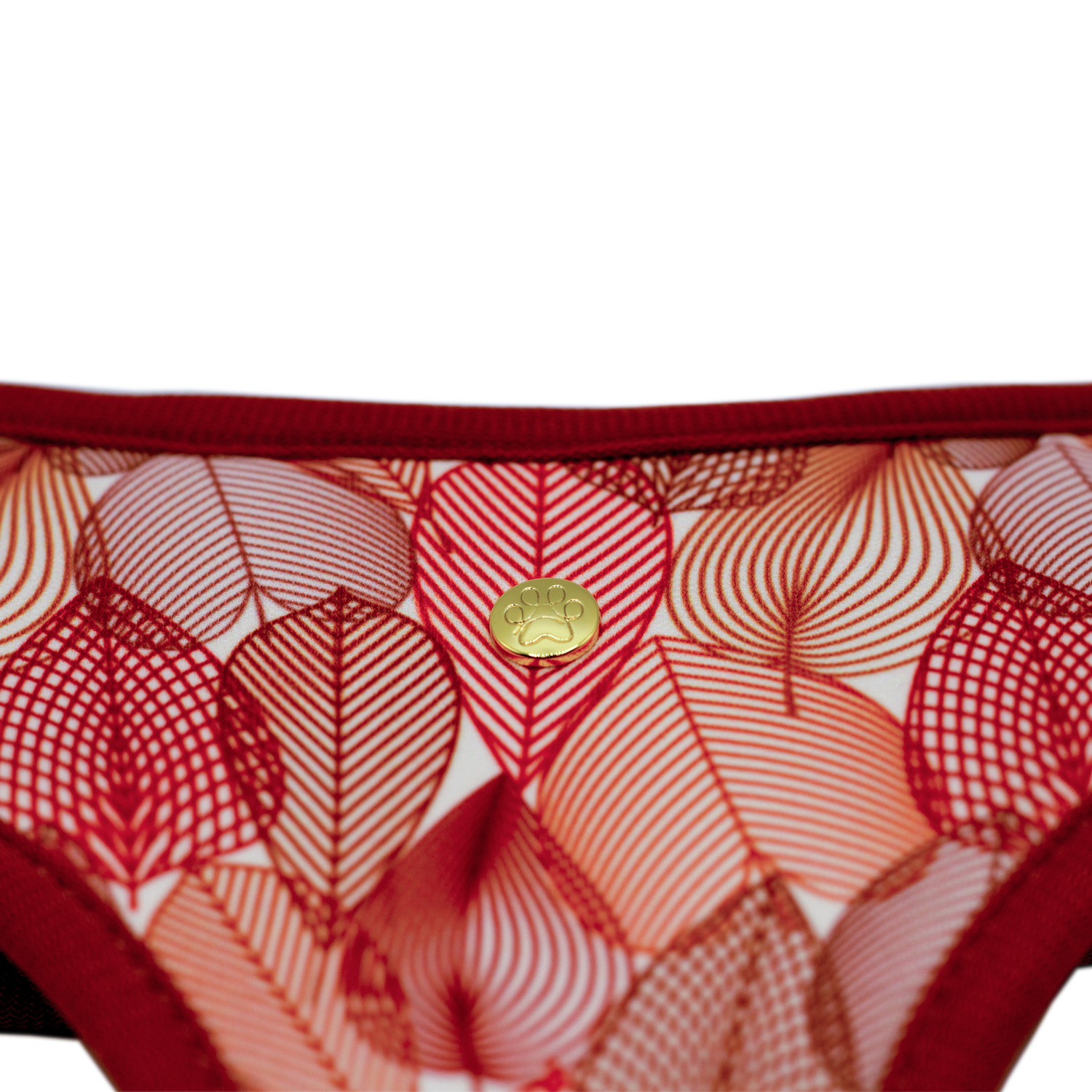 Pata Paw  autumn crunch reversible harness showing a close-up of its golden paw.