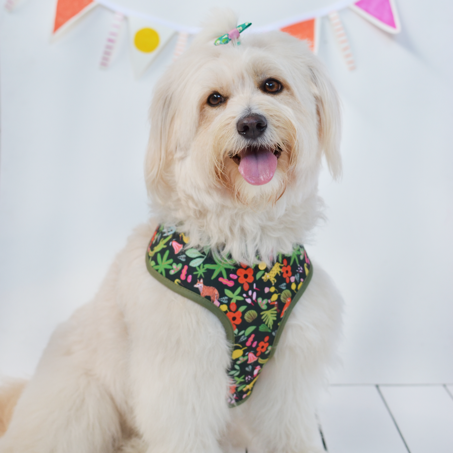 selva x holalola reversible harness