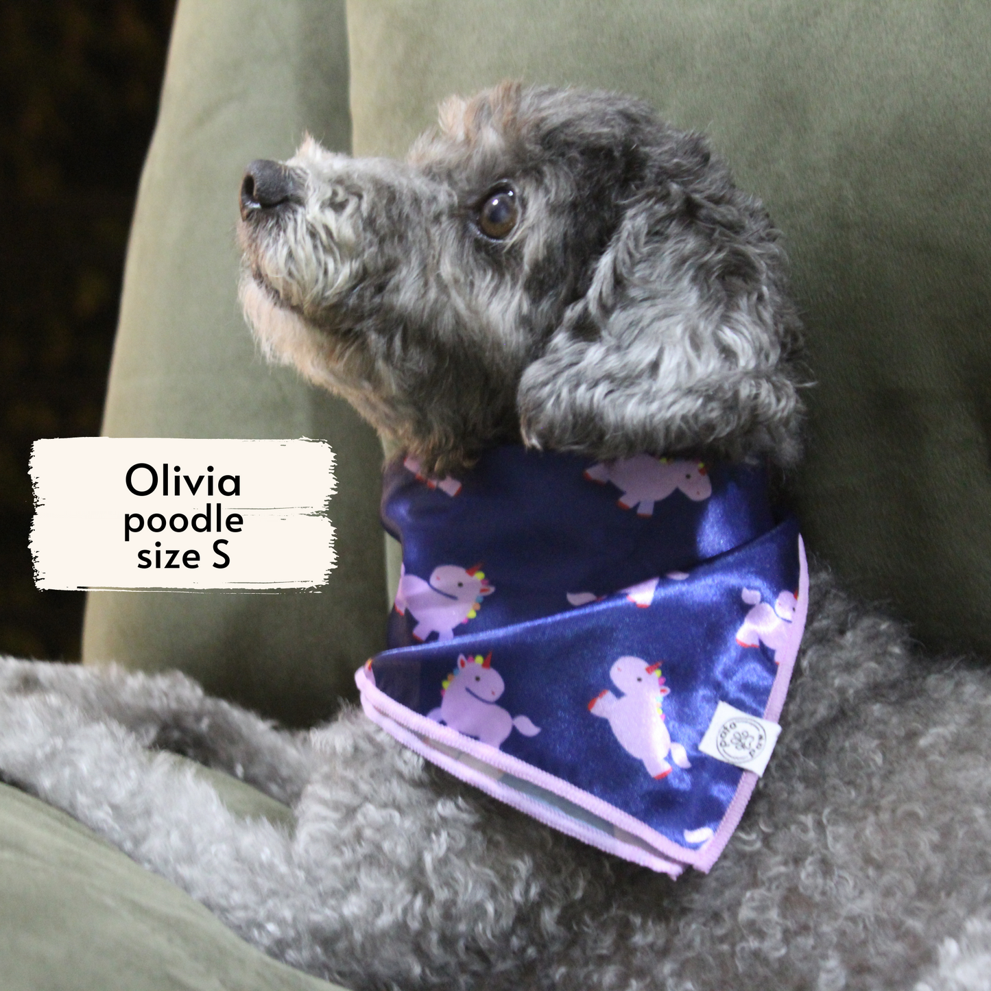 hero unicorn bandana