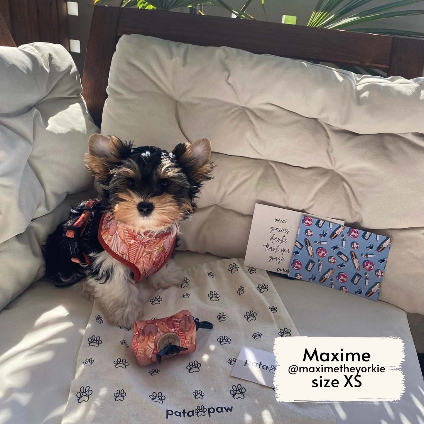 forest crunch poop bag holder