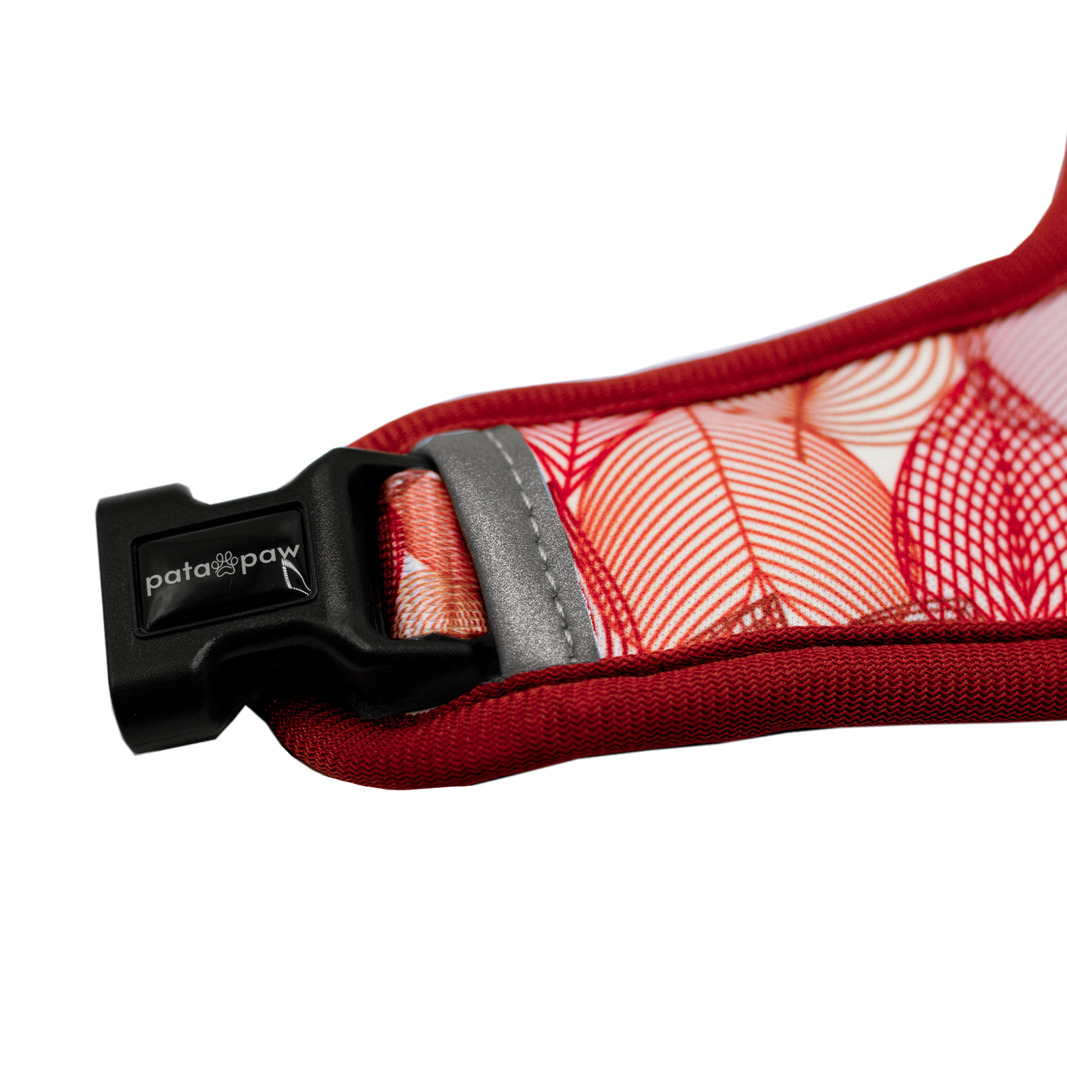 Pata Paw autumn crunch reversible harness showing the buckle of harness.