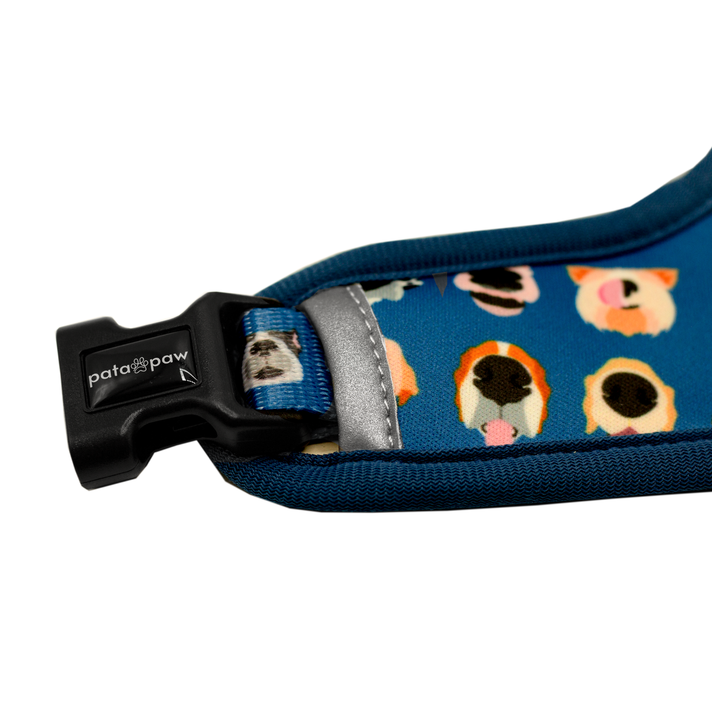 Pata Paw boops reversible harness showing the buckle of harness.