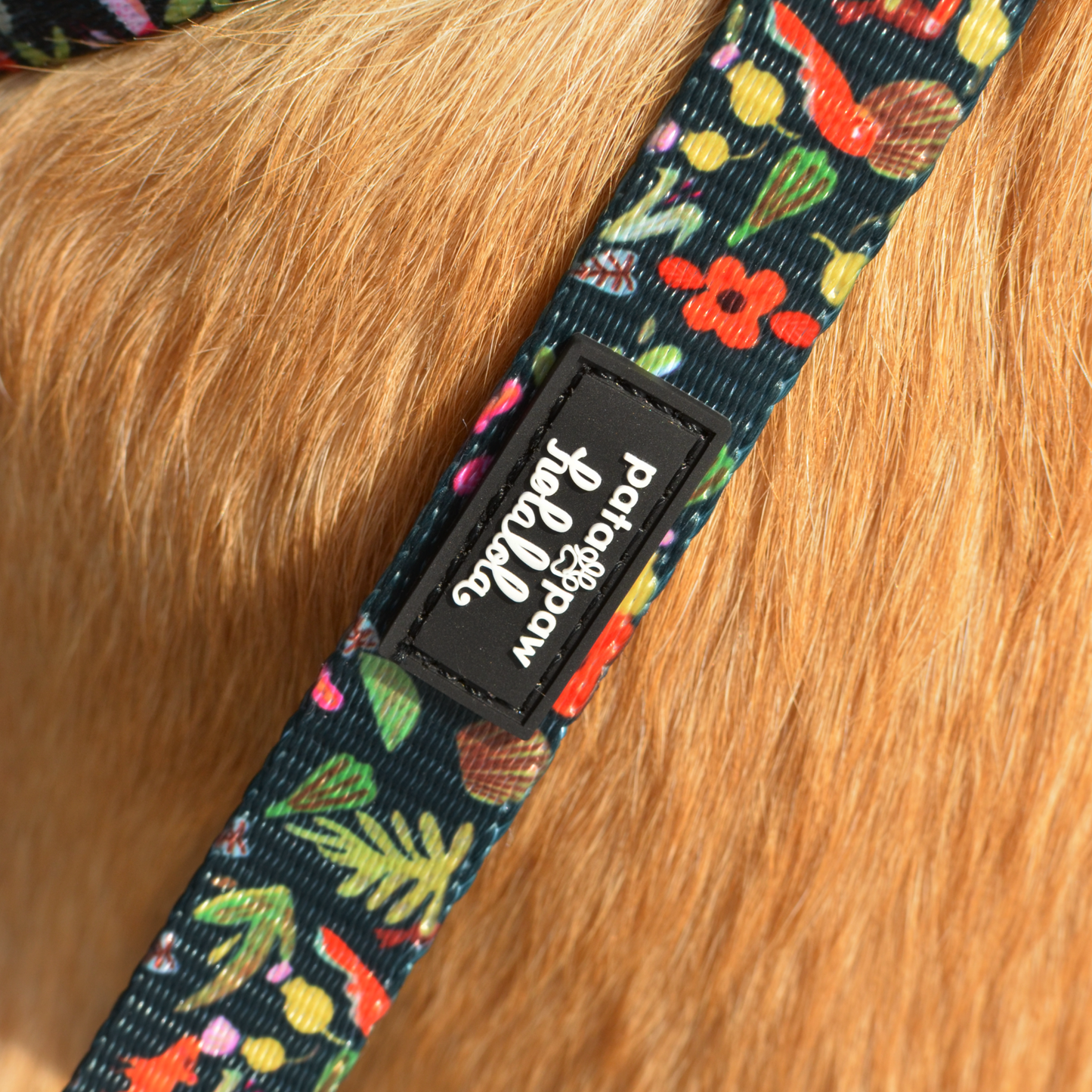 selva x holalola leash