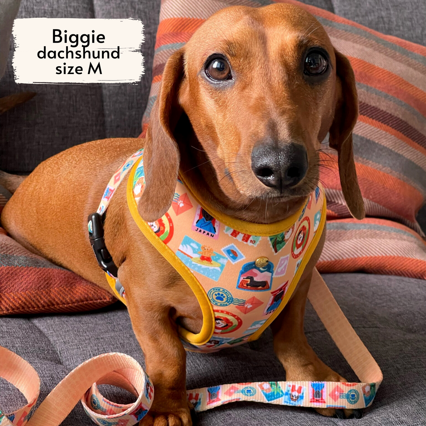 traveling pups reversible harness